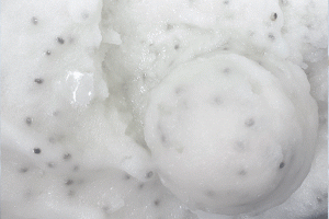 Herbal snow ice cream from Mashti Malones.